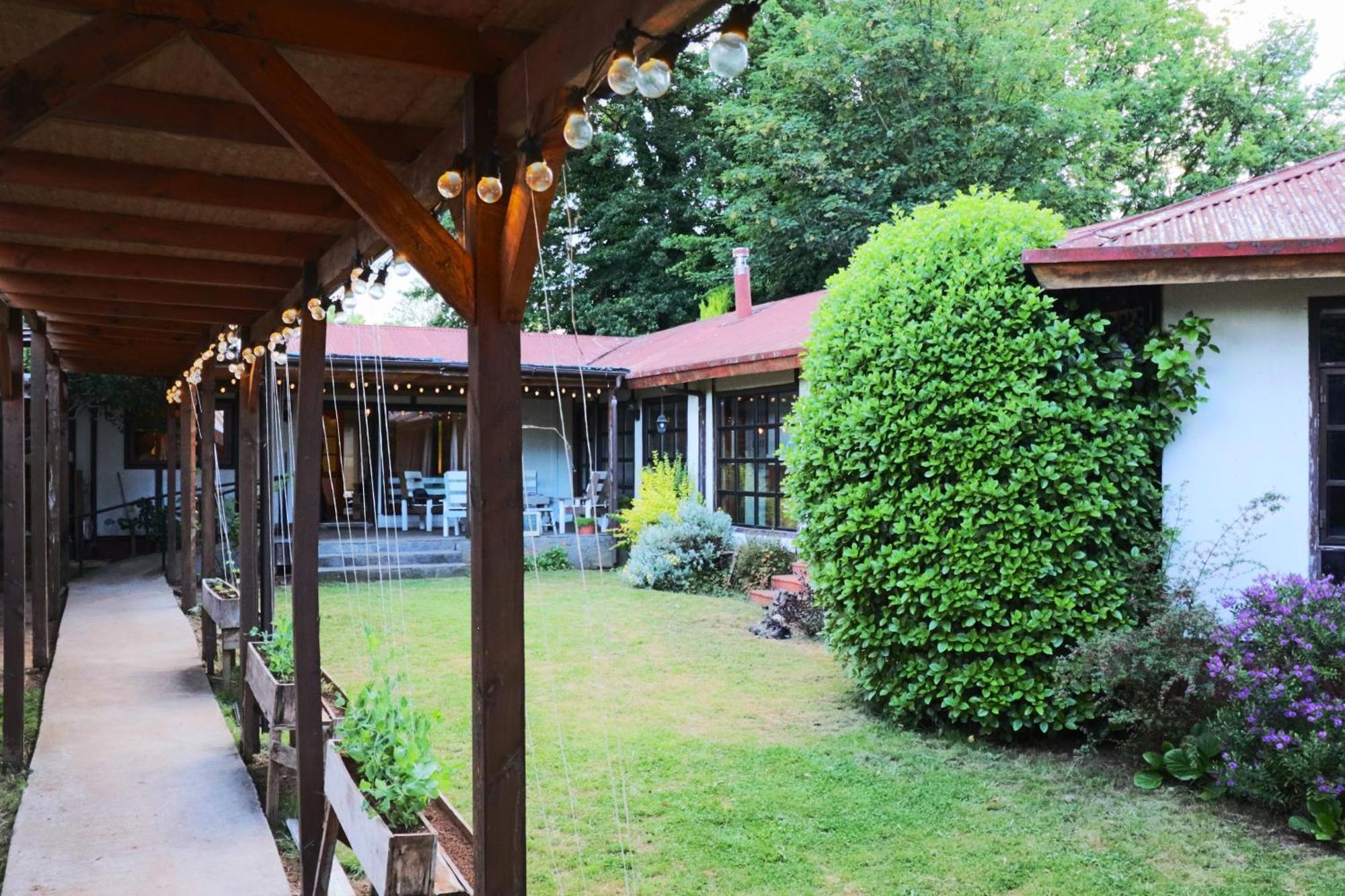 Punto Rockstar Osorno Bed and Breakfast Eksteriør billede